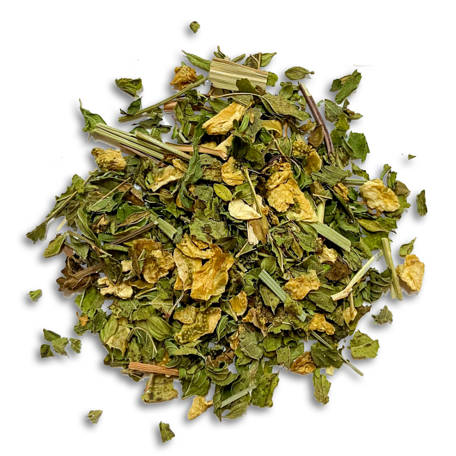 INFUSION Fraîcheur d'Agrumes