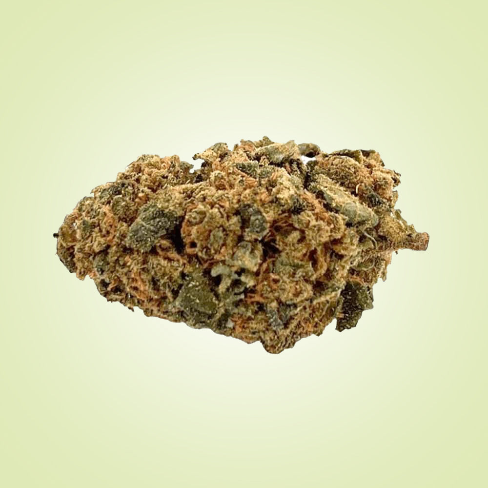 FLEURS - Gelato (indoor)