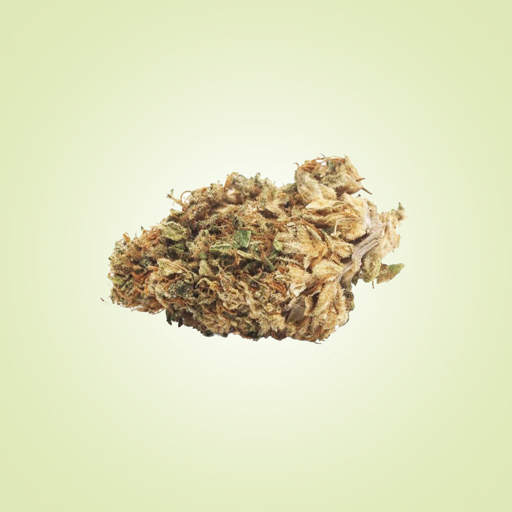 FLEURS - Lemon Kush (greenhouse)
