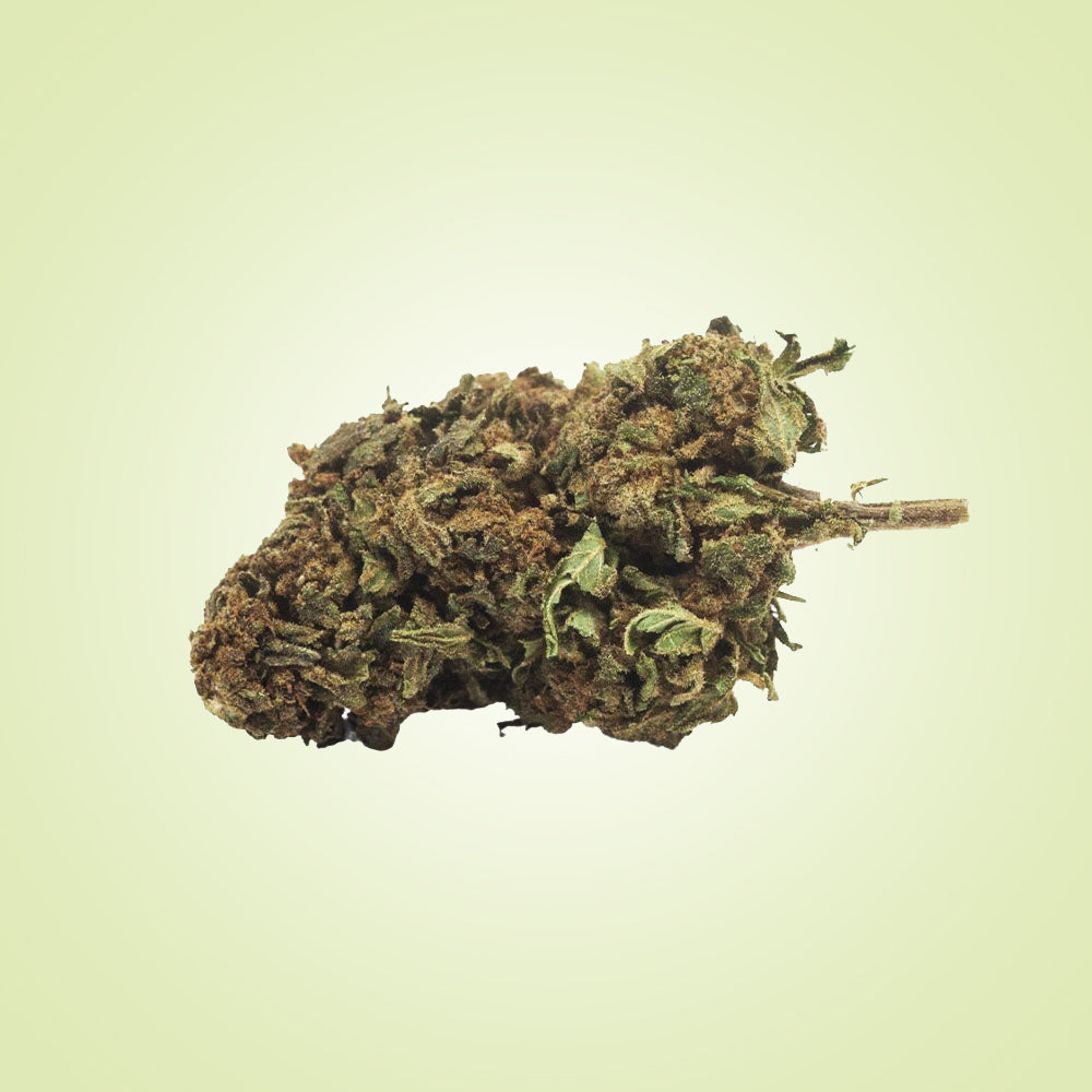FLEURS - OG Kush (greenhouse)