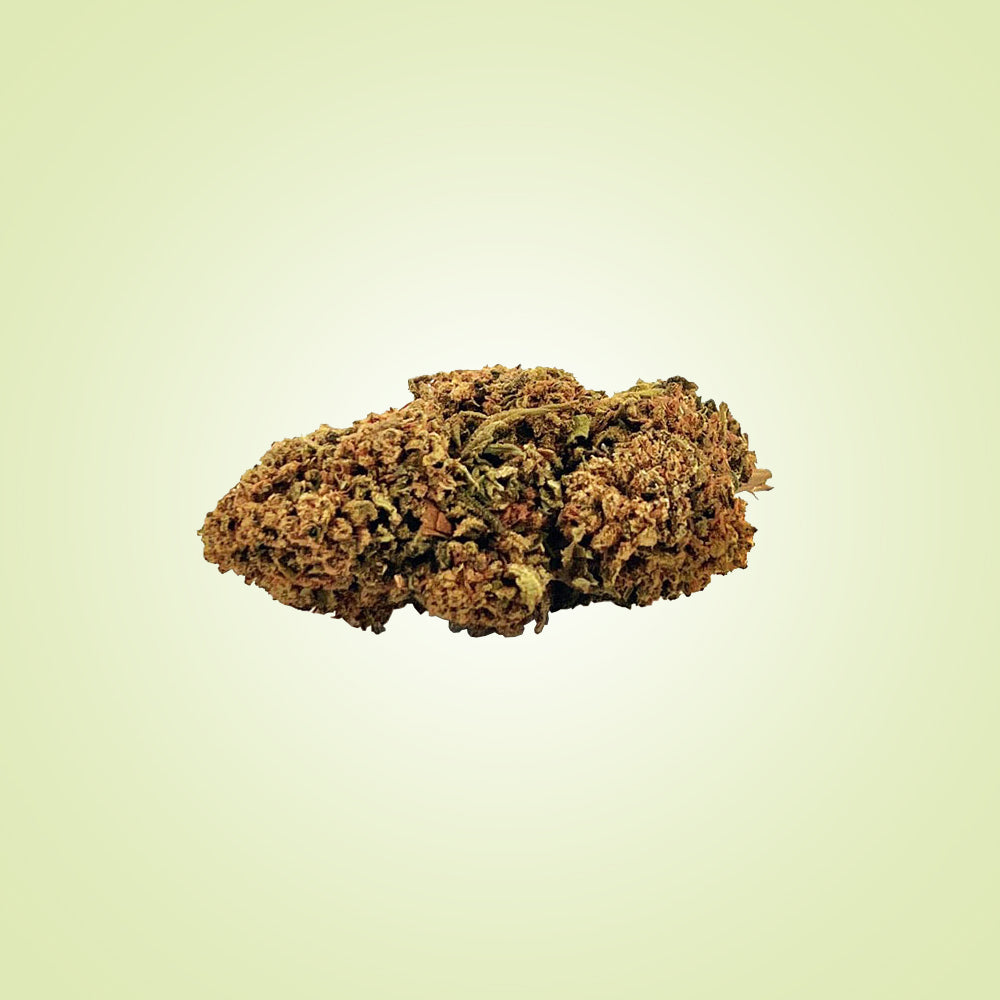 FLEURS - Purple Haze (indoor)