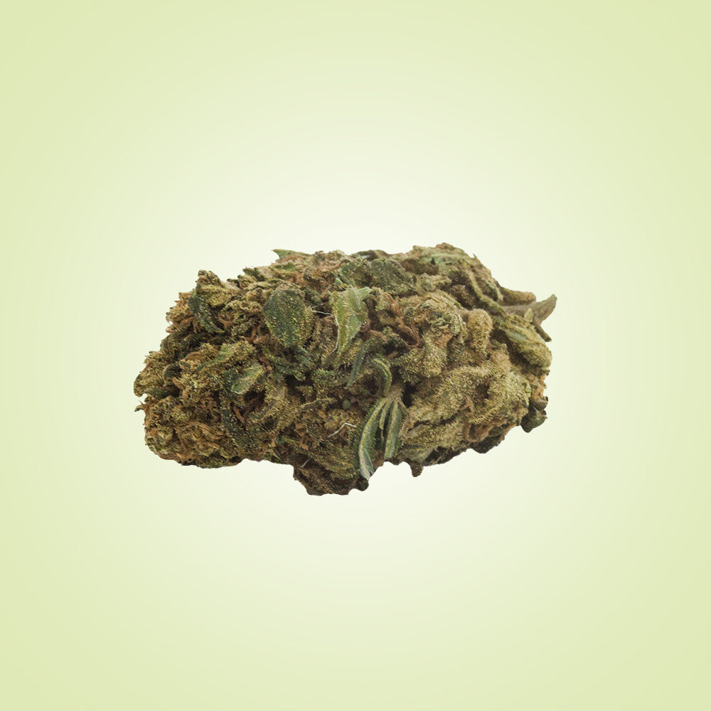 FLEURS - Tropicana (indoor)