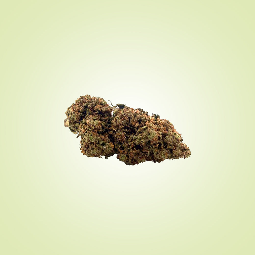 FLEURS - White Widow (indoor)