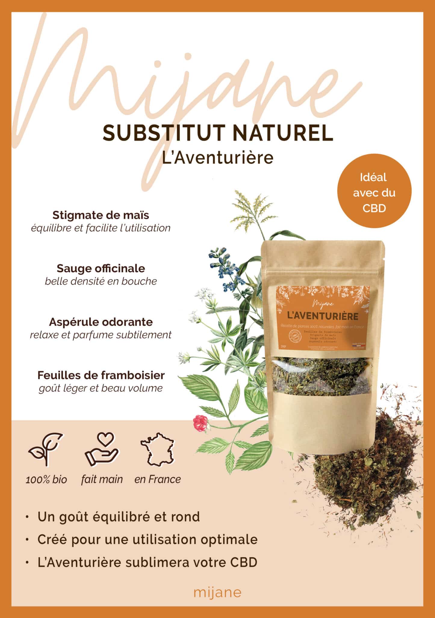 SUBSTITUT - L'Aventurière